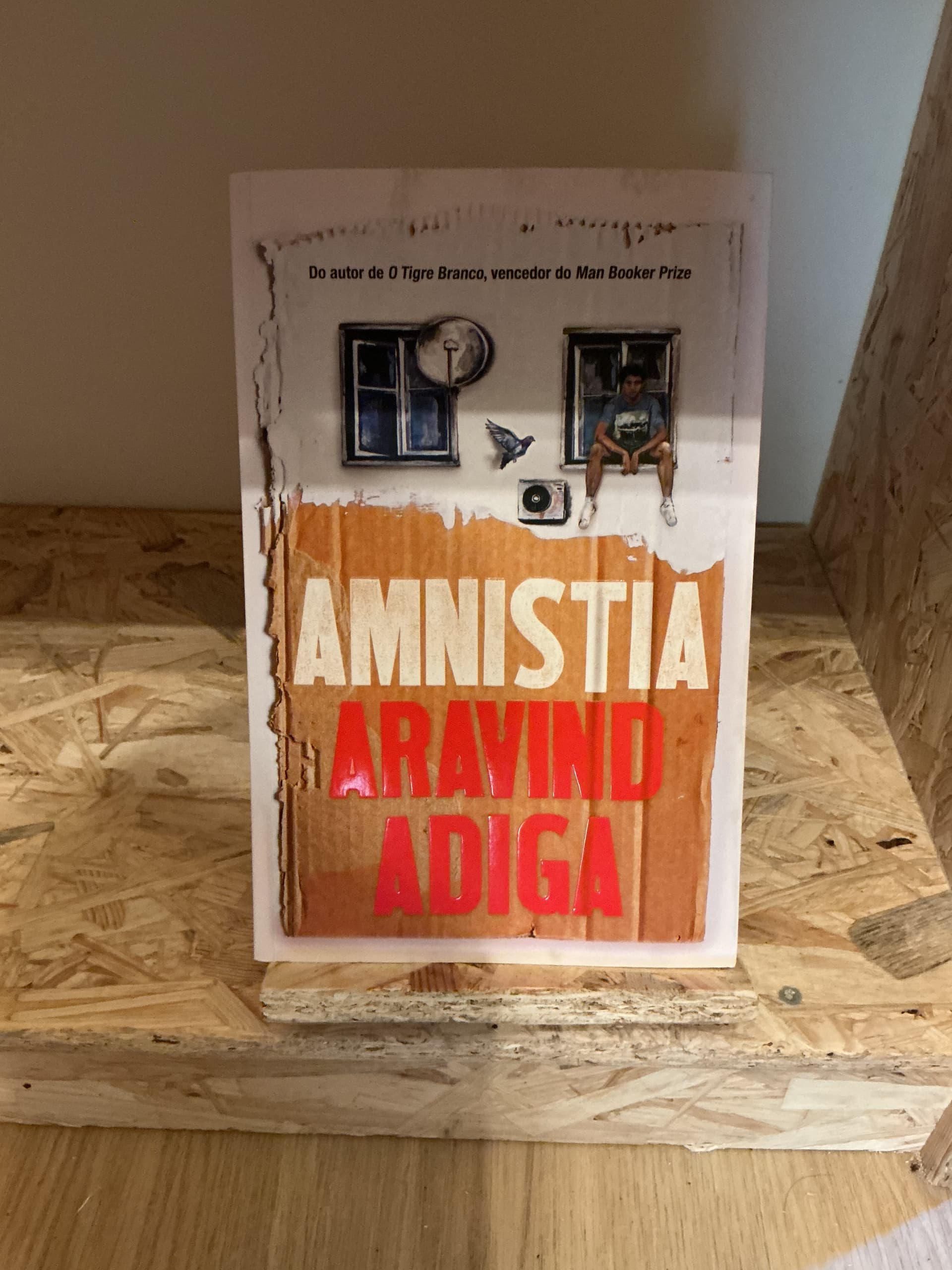 Amnistia