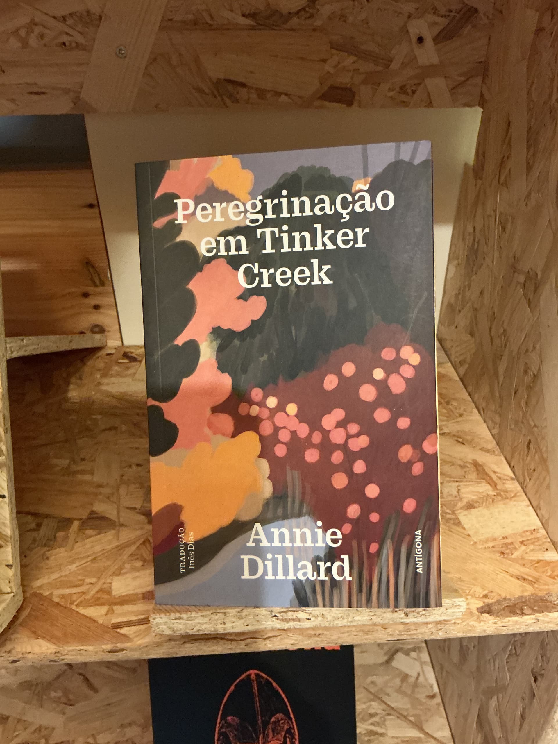 Peregrinação em Tinker Creek