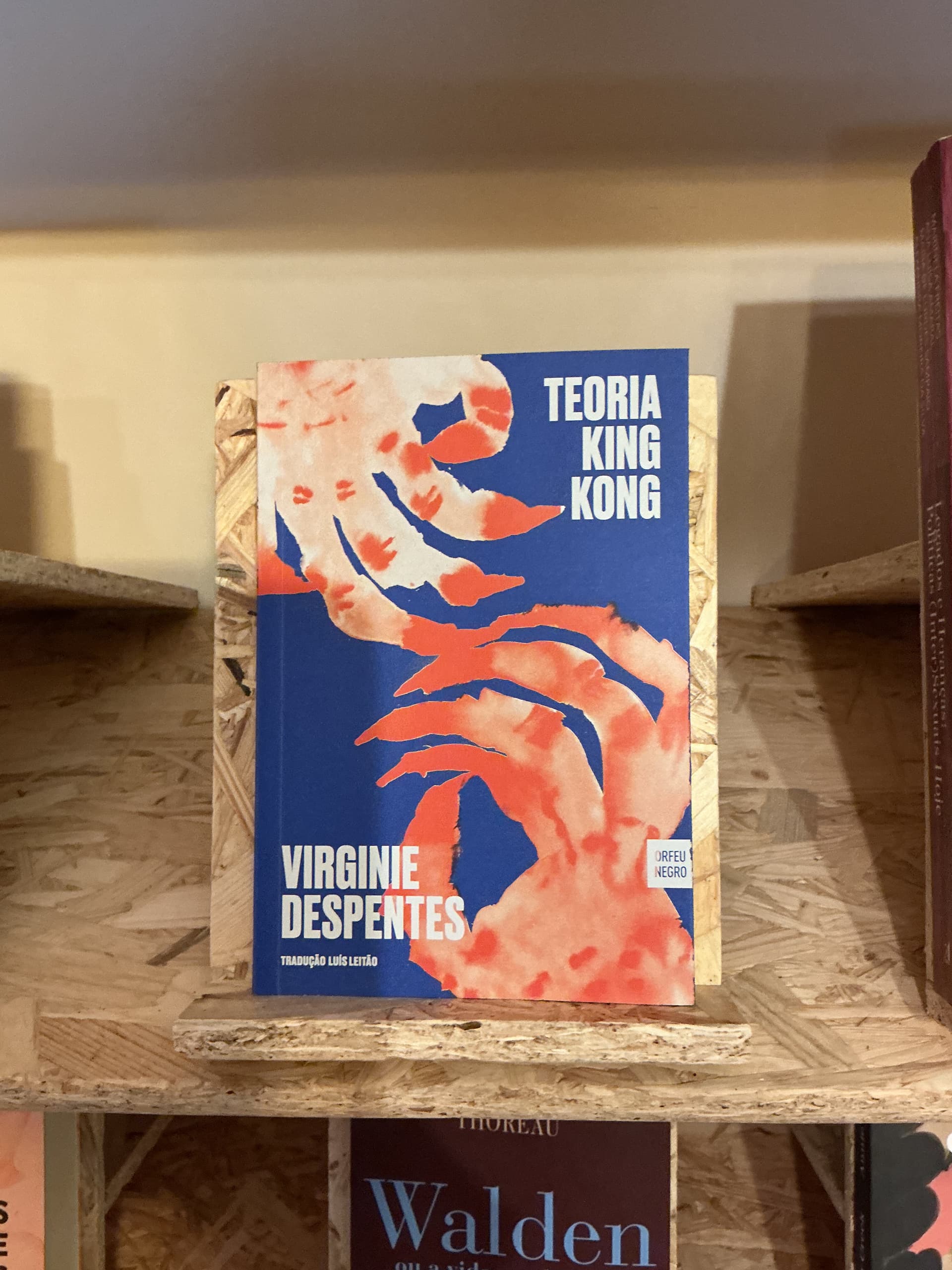 Teoria King Kong