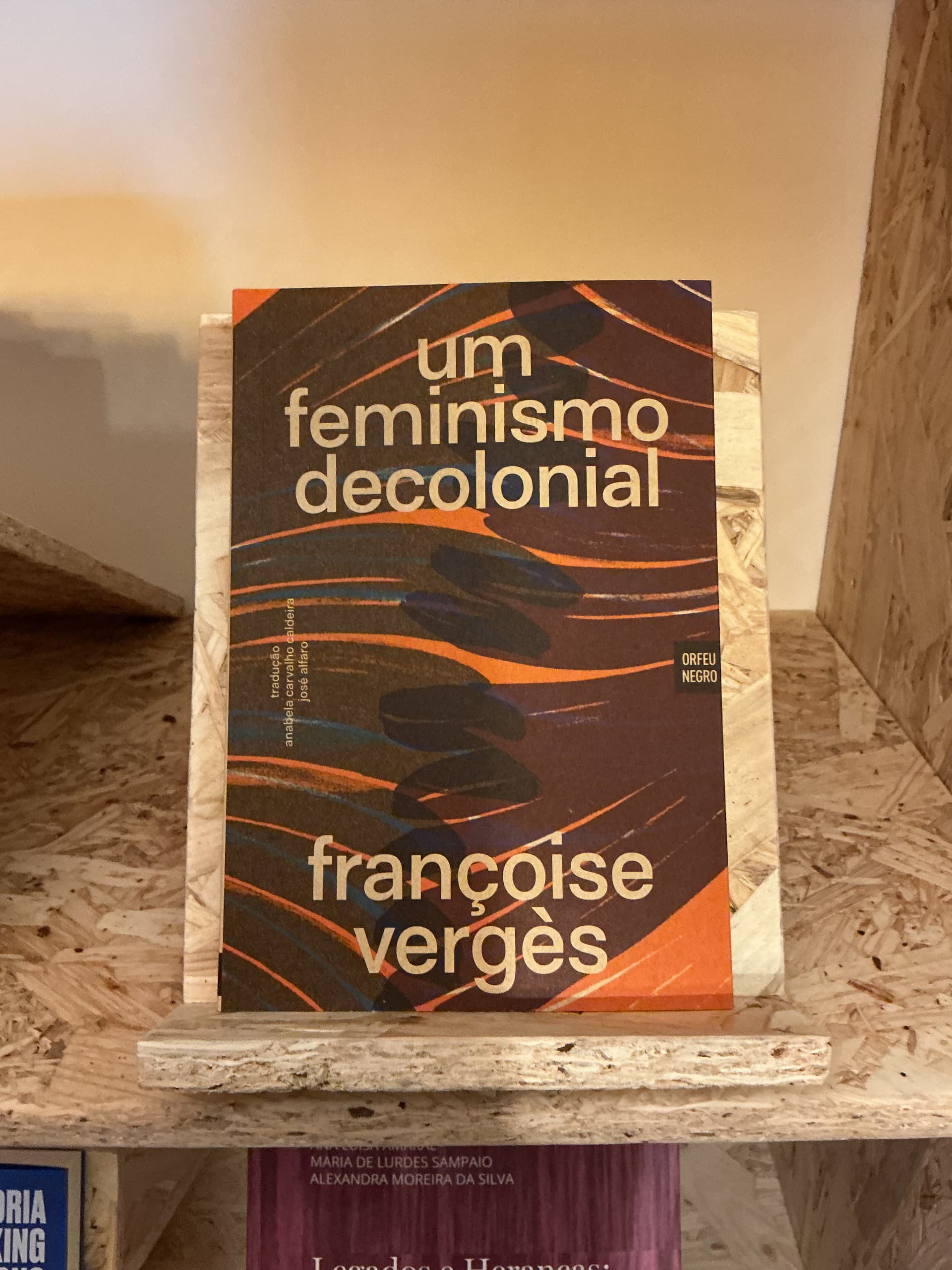Um feminismo decolonial